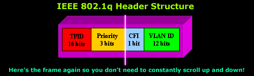 vlans-8021q-analysis-3