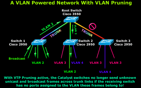 vlans-pruning-4