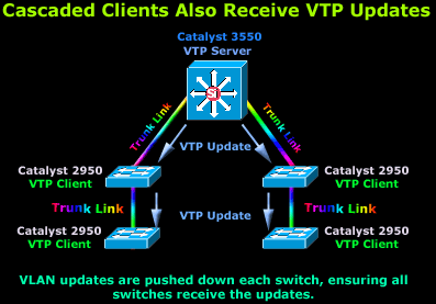 vlans-vtp-3