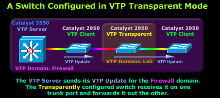 vlans-vtp-5