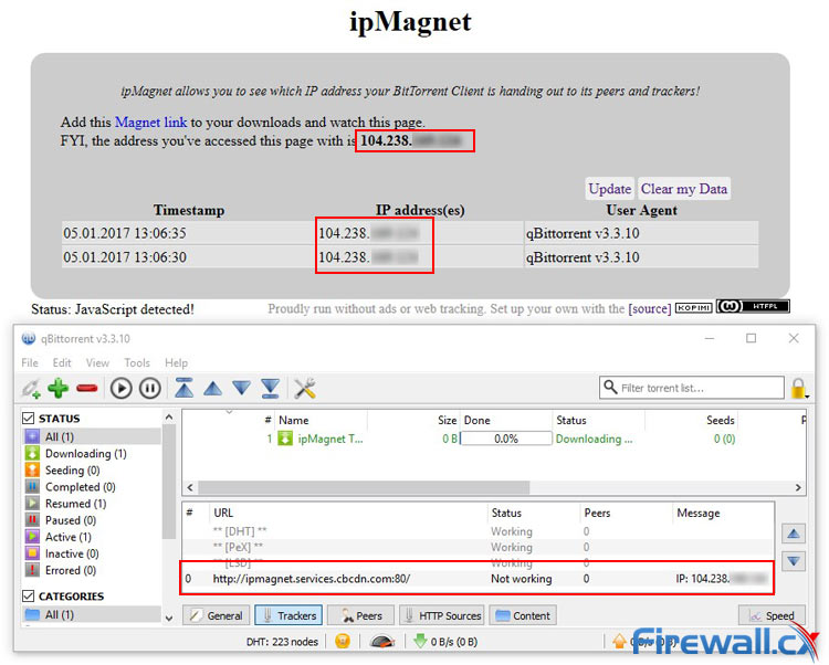 ipMagnet in Action reveals our VPN Service Provider is not exposing our real IP address
