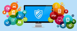 web application security testing